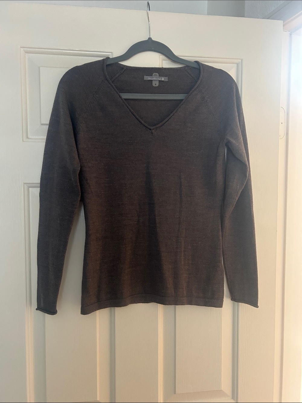Smartwool Women's V-Neck Sweater in Brown